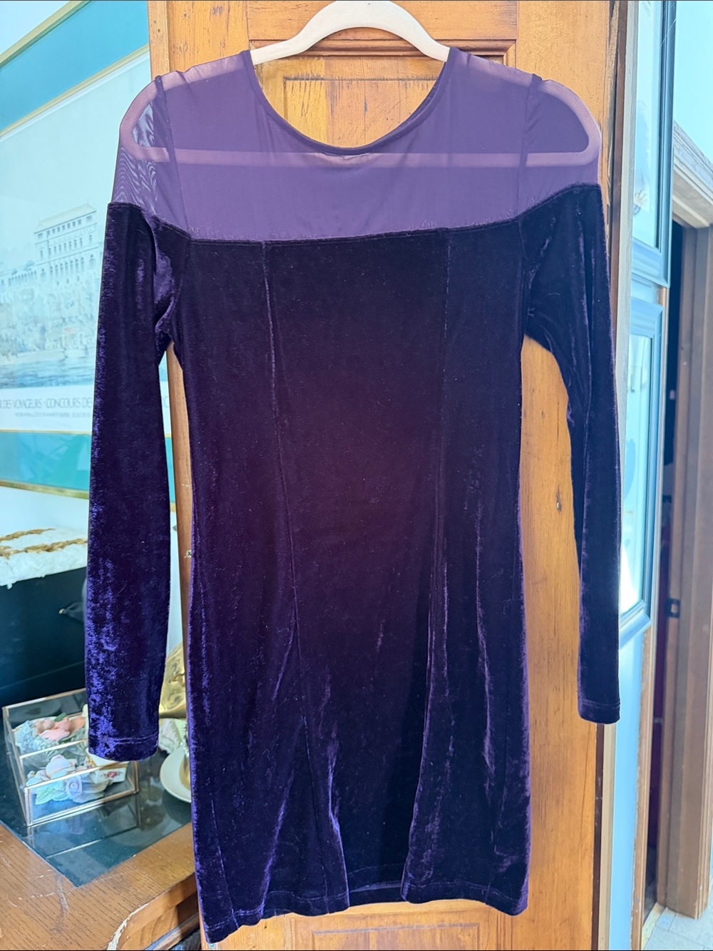 MINKPINK Velvet Long-Sleeve Dress in Deep Purple with Sheer Yoke